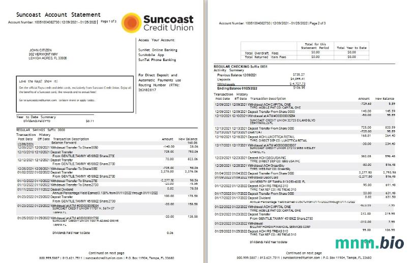 USA Suncoast wyciąg bankowy szablon Worda i PDF 1-2